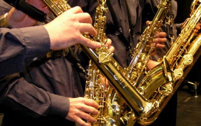 VUELTA AL TRABAJO Y NUEVOS PROYECTOS EN MARCHA